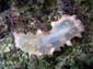 27_RIMG0326