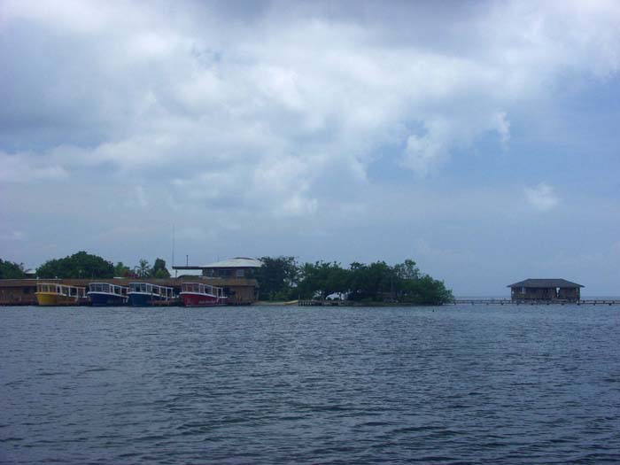 02_P8268216