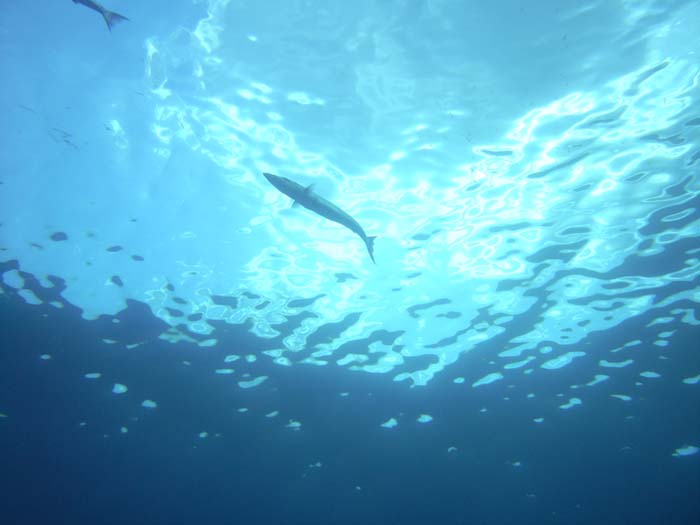 20_M0010684