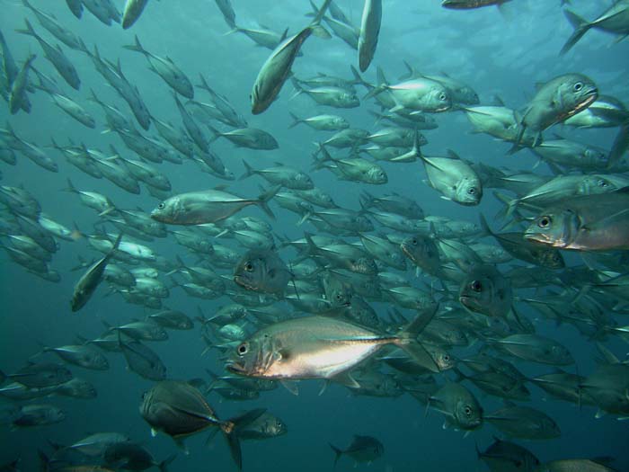 18_M0010914
